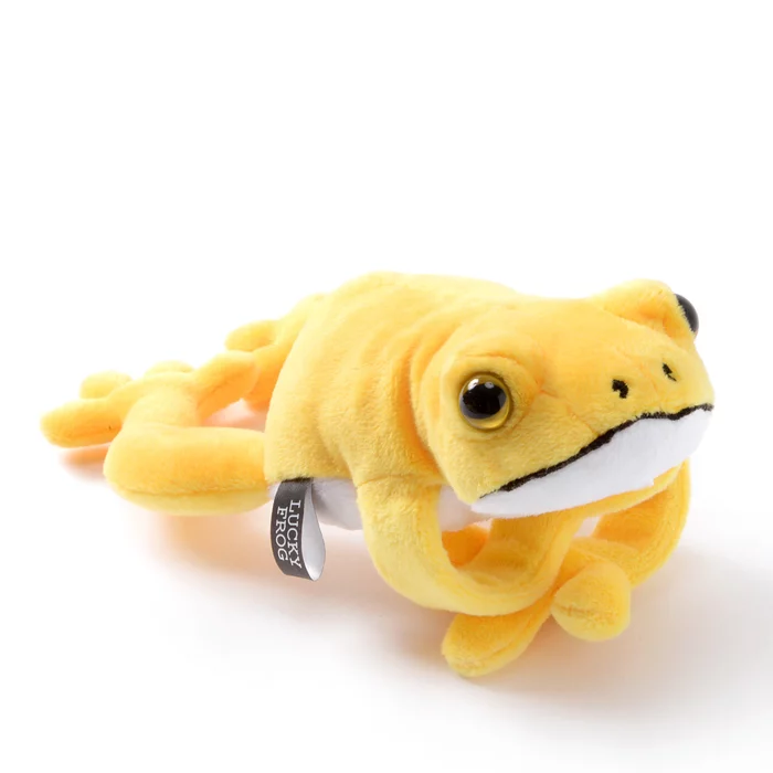 Lucky Frog Plush Collection - Image 3