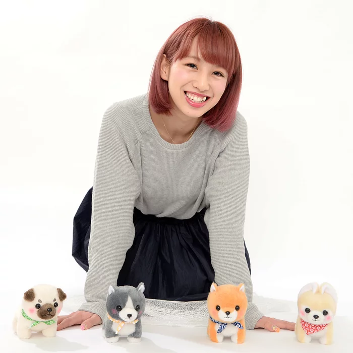 Amuse Mameshiba San Kyodai Nihonbare Dog Plush Collection (Standard) - Image 12