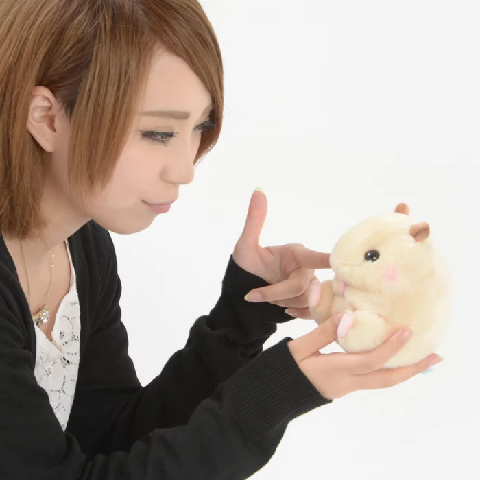 Amuse Coroham Coron No Otomodachi Hamster Plush Collection (Standard) - Image 4