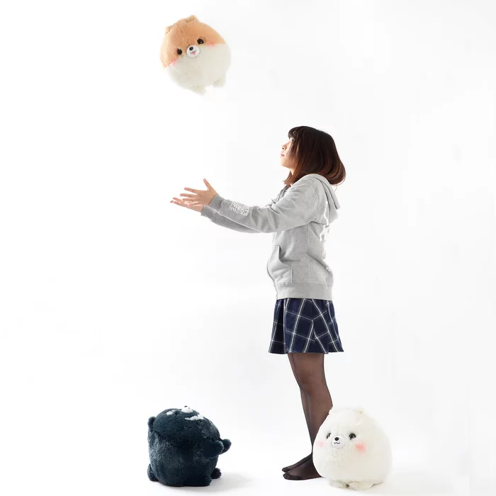 Amuse Fuwa-Mofu Pometan Dog Plush Collection (Big) - Image 24