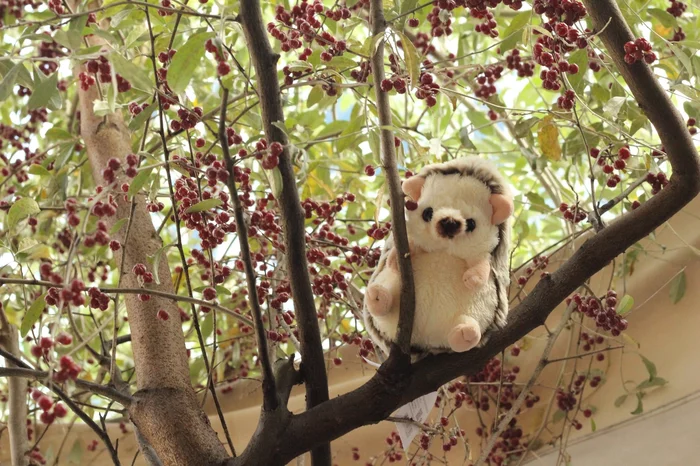Sunlemon Fluffies Hedgehog Plush Collection - Image 20