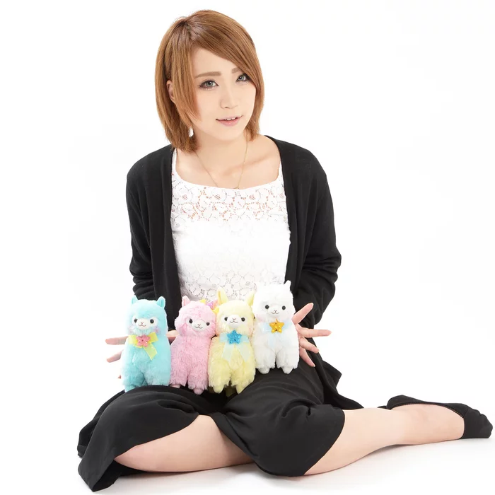 Amuse Alpacasso Kirarin Star Alpaca Plush Collection (Standard) - Image 2