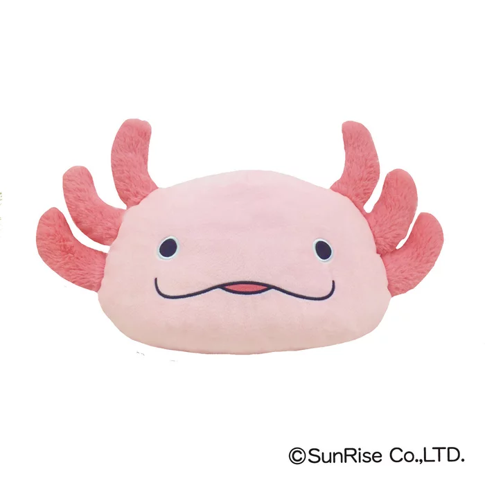 Hola! Salamanders - Image 3