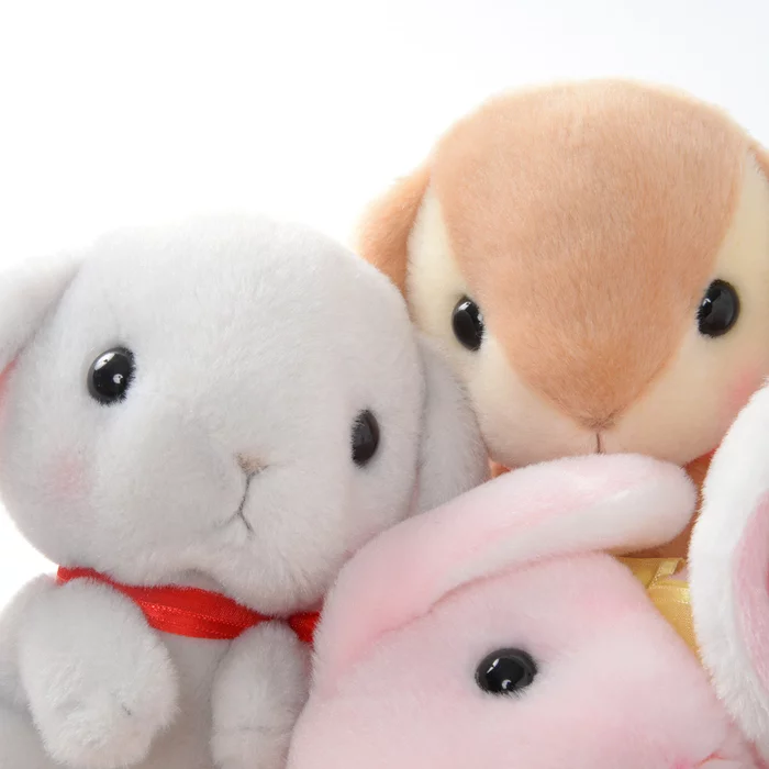 Amuse Pote Usa Loppy Onedari Rabbit Plush Collection (Standard) - Image 11
