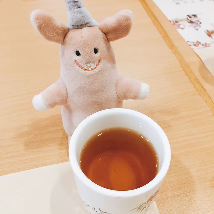 LivHeart Roomies Party Take Me Roomies Plush Collection - Image 8