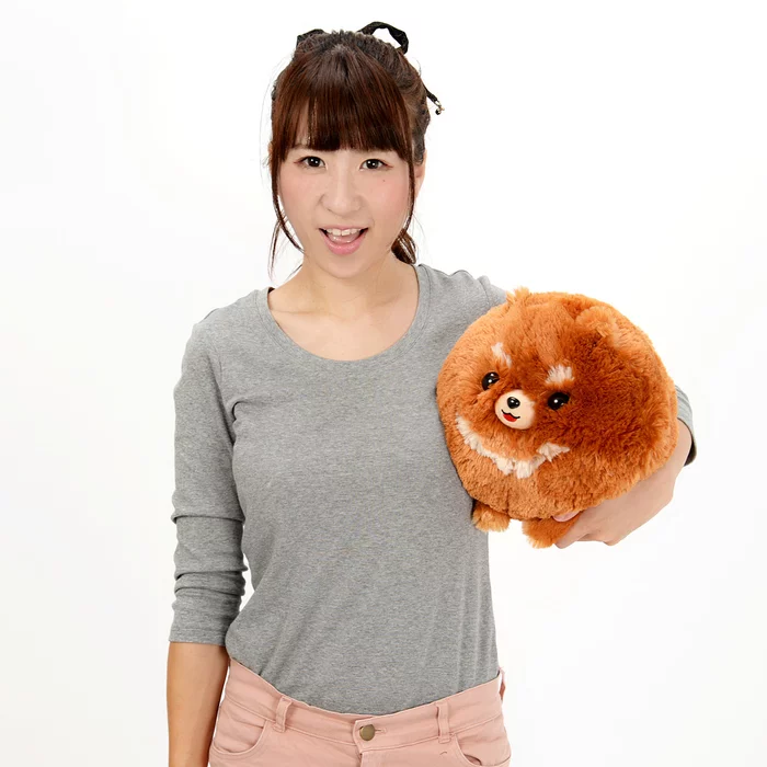 Amuse Pometan To Odekake Dog Plush Collection (Jumbo) - Image 14