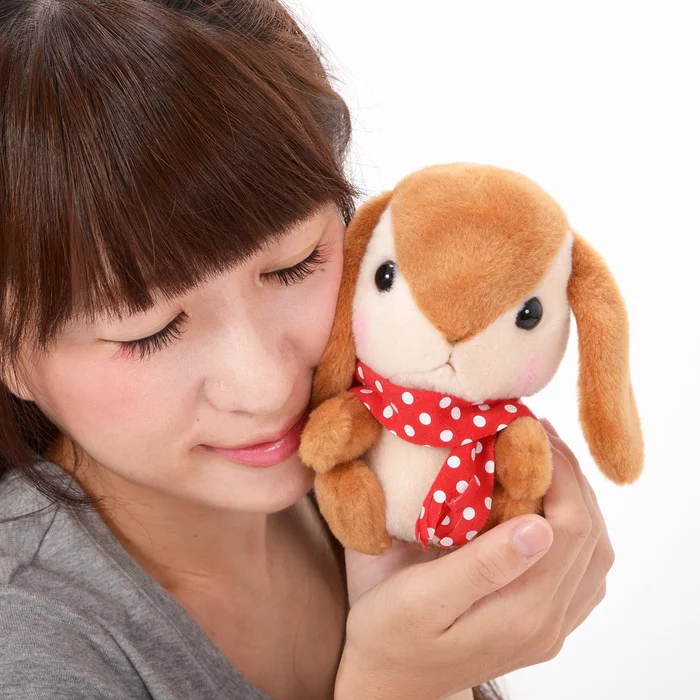 Amuse Pote Usa Loppy Fuyu Jitaku Rabbit Plush Collection (Standard) - Image 18
