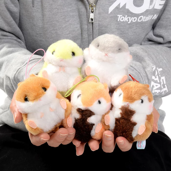Amuse Coroham Coron To Risu-chan Hamster Plush Collection (Mini Strap)