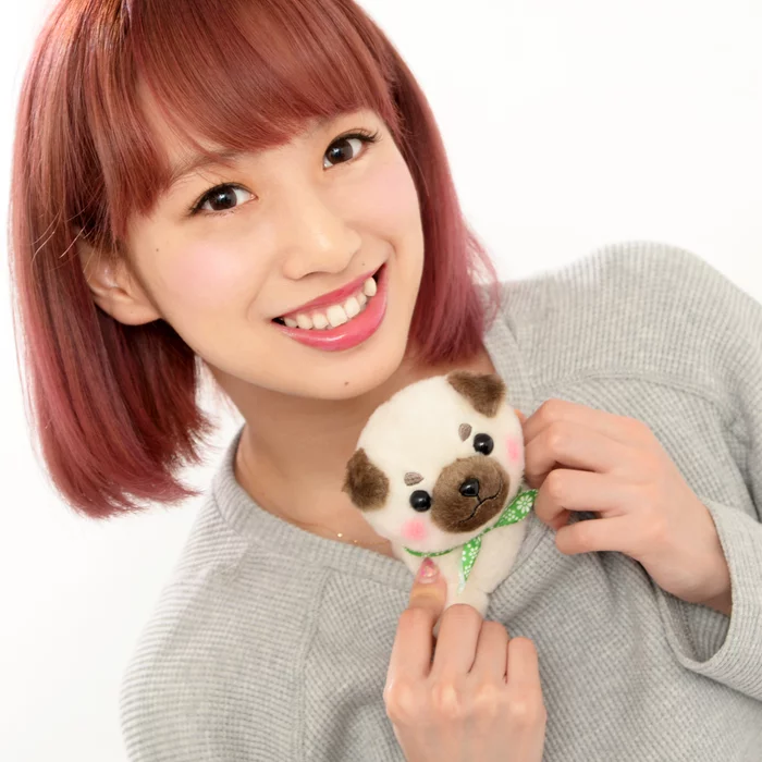 Amuse Mameshiba San Kyodai Nihonbare Dog Plush Collection (Standard) - Image 11