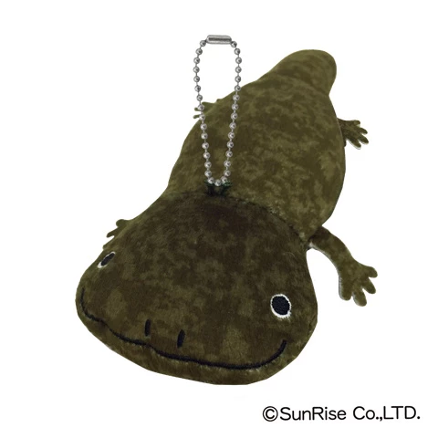 Hola! Salamanders - Image 5