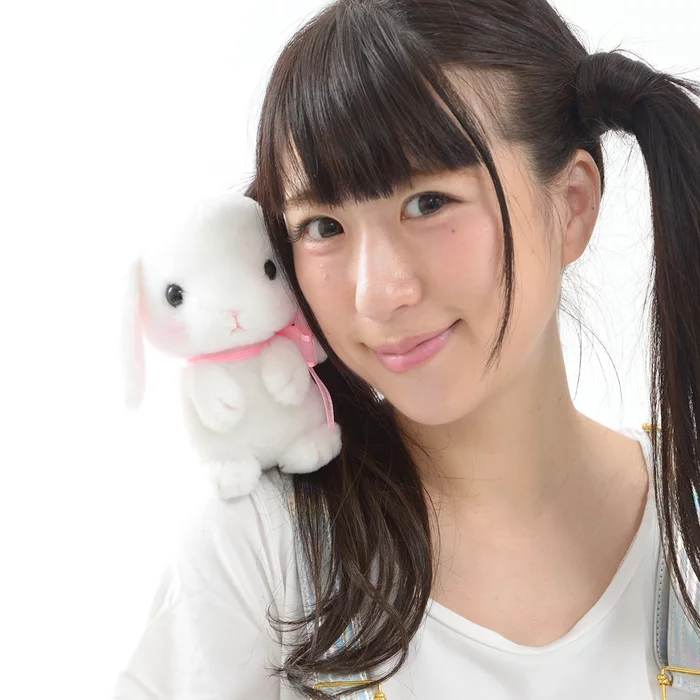 Amuse Pote Usa Loppy Onedari Rabbit Plush Collection (Standard) - Image 8