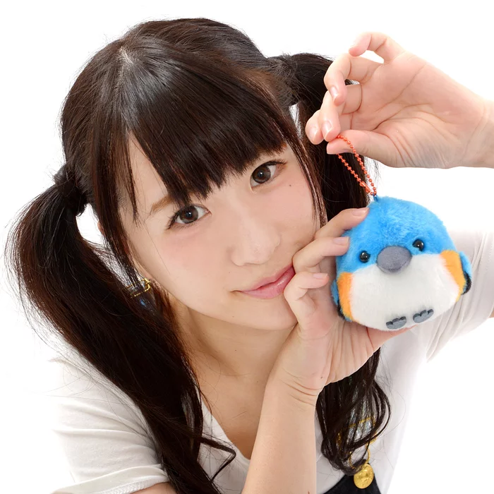 Amuse Kotori Tai Waku Waku Bird Plush Collection (Ball Chain) - Image 2