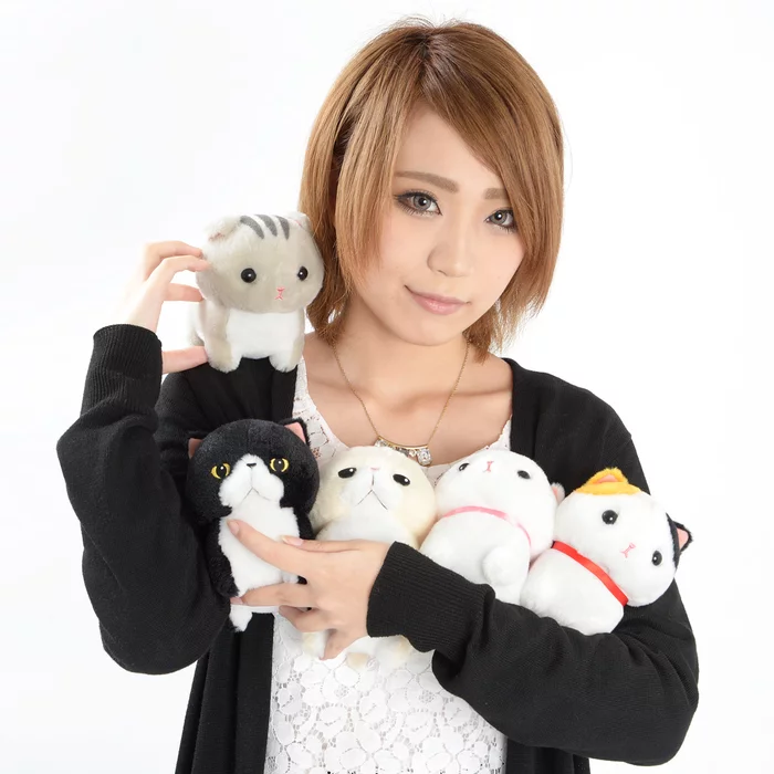 Amuse Chinmari Munchkin Cat Plush Collection (Standard) - Image 2