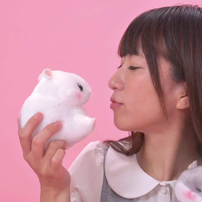 Amuse Coroham Coron Hamster Plush Collection (Standard) - Image 18