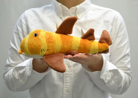 Japanese Bullhead Shark Plushie - Image 9
