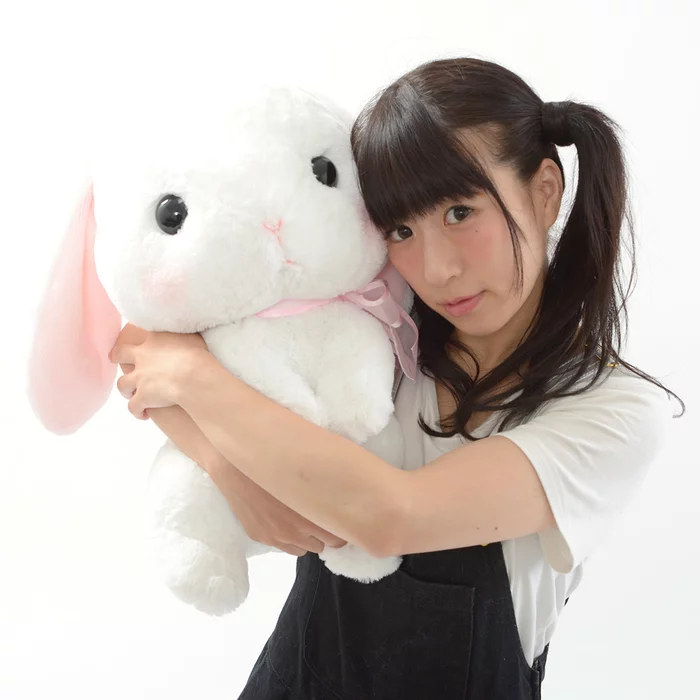 Amuse Pote Usa Loppy Onedari Rabbit Plush Collection (Big) - Image 14