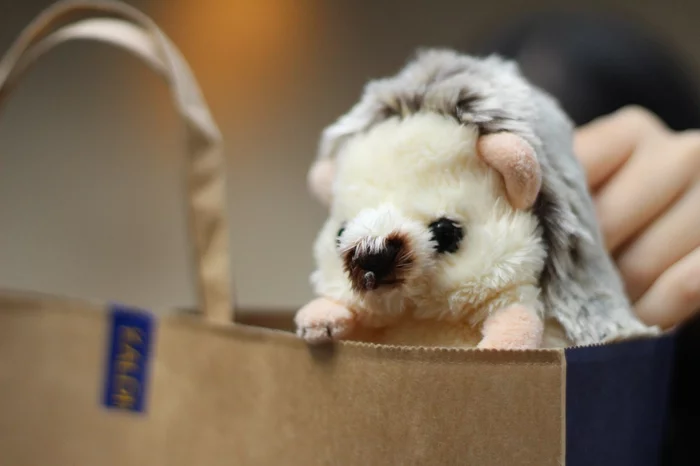 Sunlemon Fluffies Hedgehog Plush Collection - Image 22