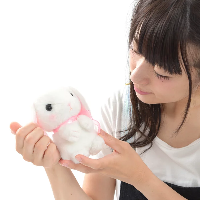 Amuse Pote Usa Loppy Onedari Rabbit Plush Collection (Standard) - Image 9