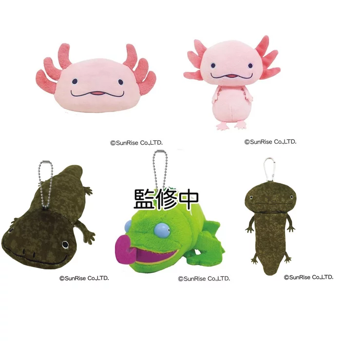 Hola! Salamanders - Image 2