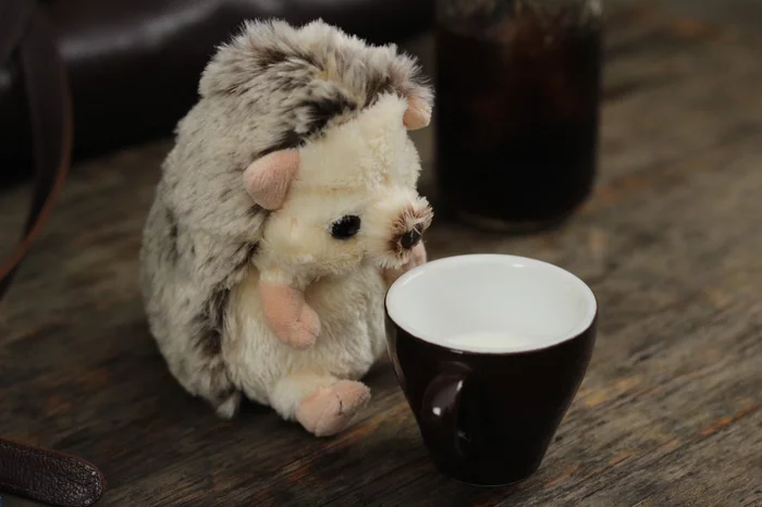 Sunlemon Fluffies Hedgehog Plush Collection - Image 21