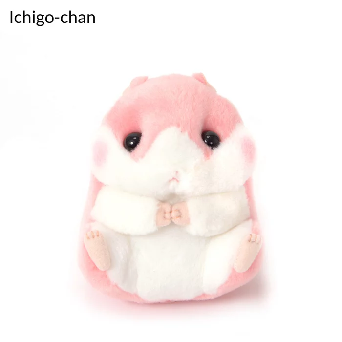 Amuse Coroham Coron Cafe Coron Hamster Plush Collection (Standard) - Image 4
