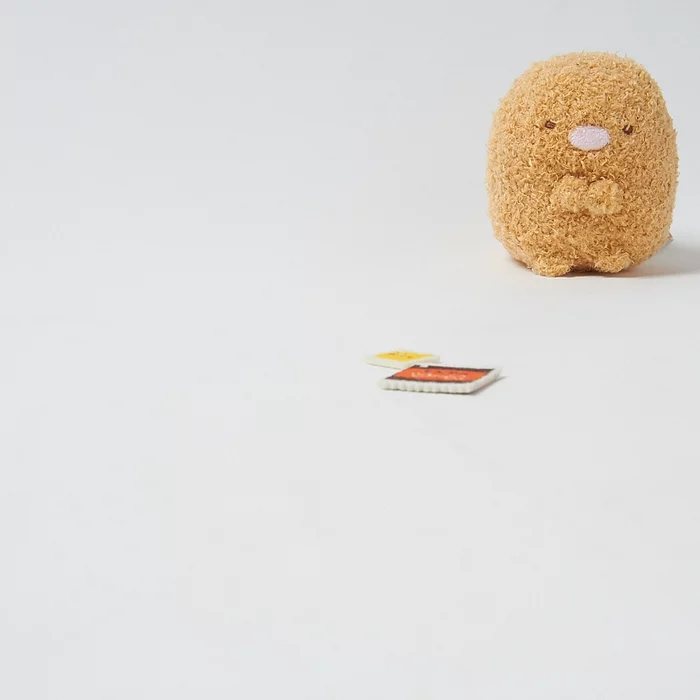 San-X Sumikko Gurashi - Tonkatsu Plush (Small) - Image 5
