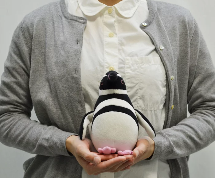 Plush Penguin Collection: Magellanic Penguin - Image 8